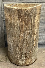 LARGE PRIMITIVE HORNBEAM