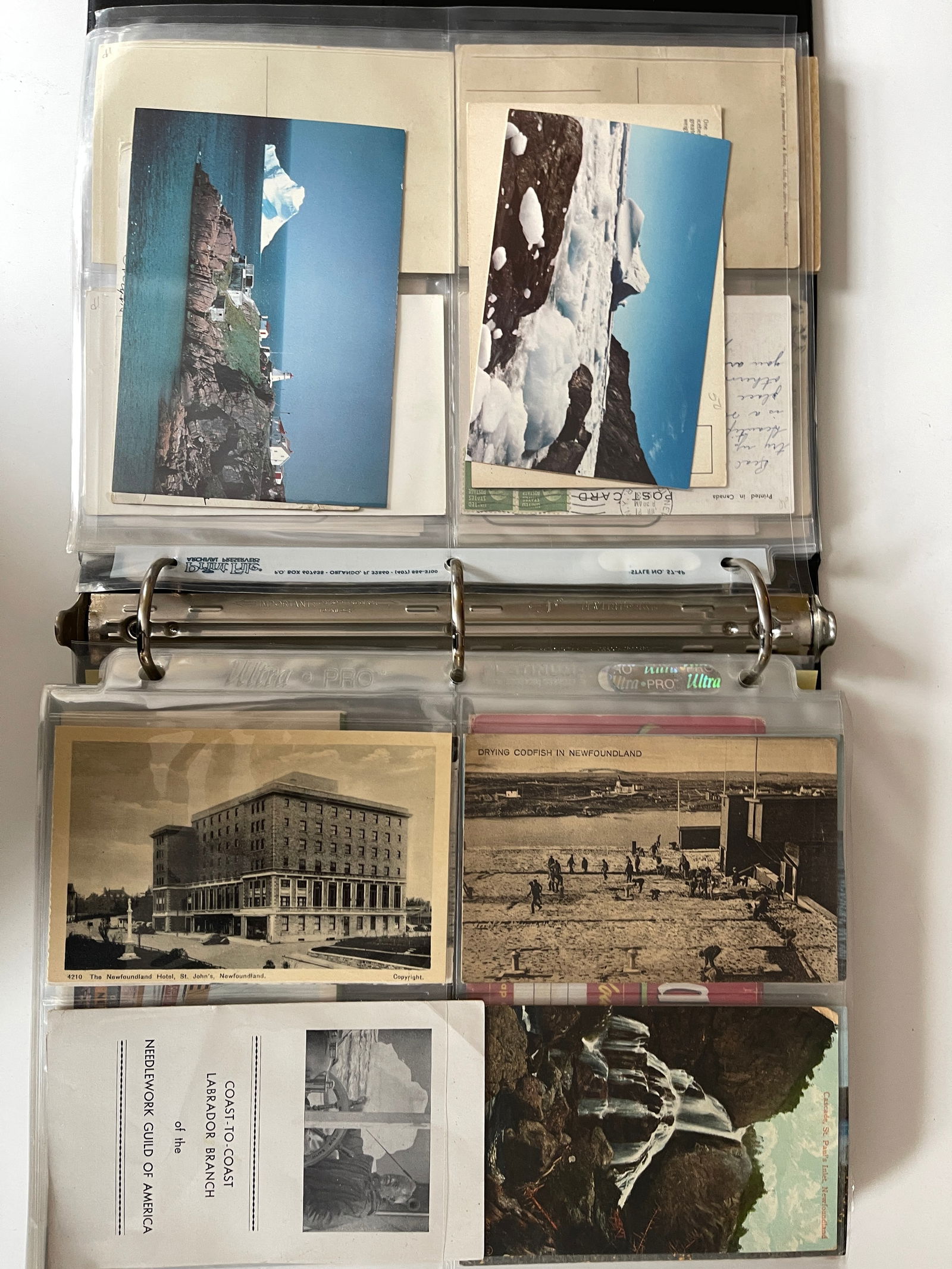 POSTCARD ALBUM FROM NEWFOUNDLAND: POSTCARD ALBUM FROM NEWFOUNDLAND