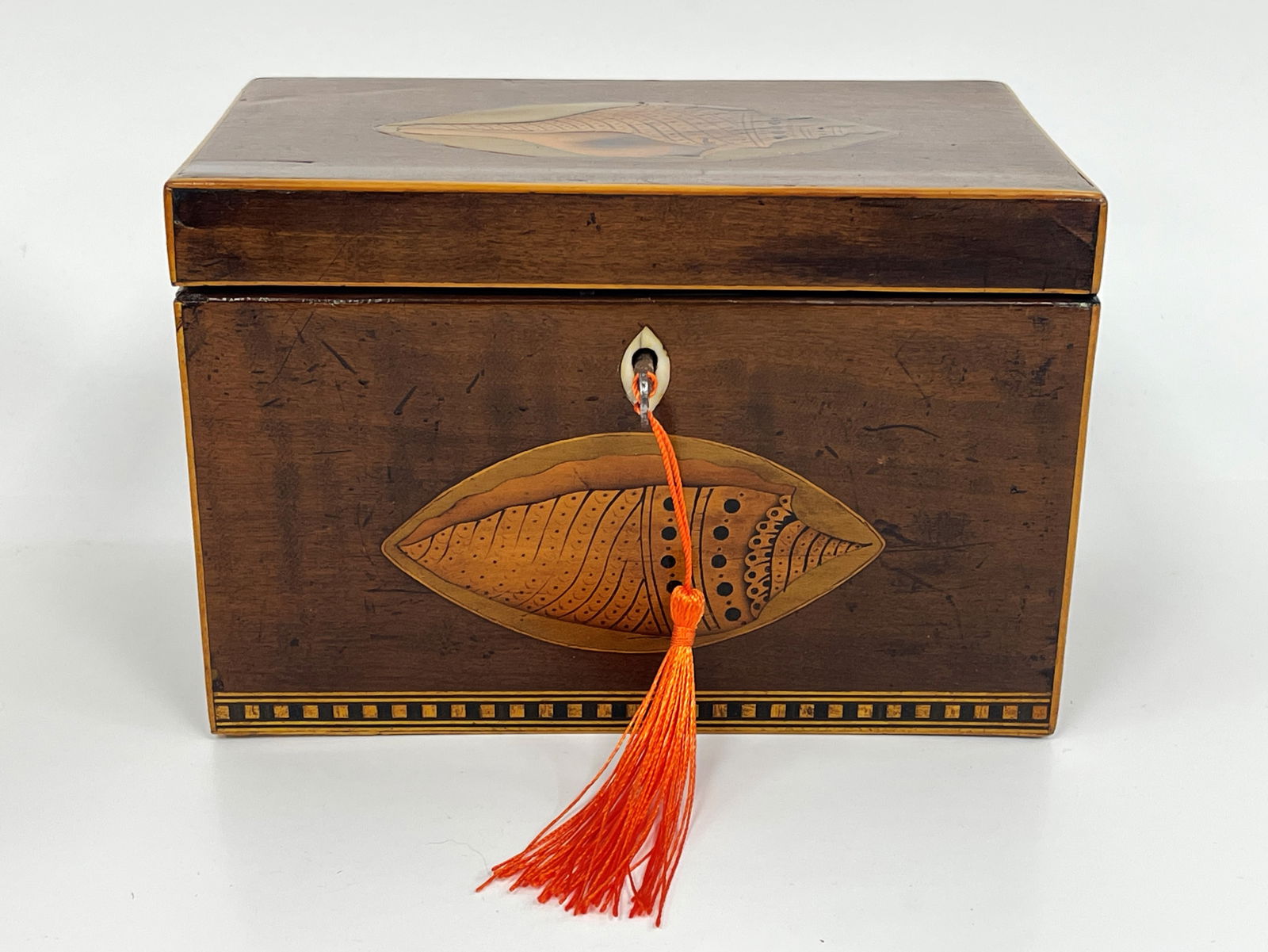 19TH C FRUITWOOD TEA CADDY WITH DOUBLE CONCH INLAY (1 of 6)