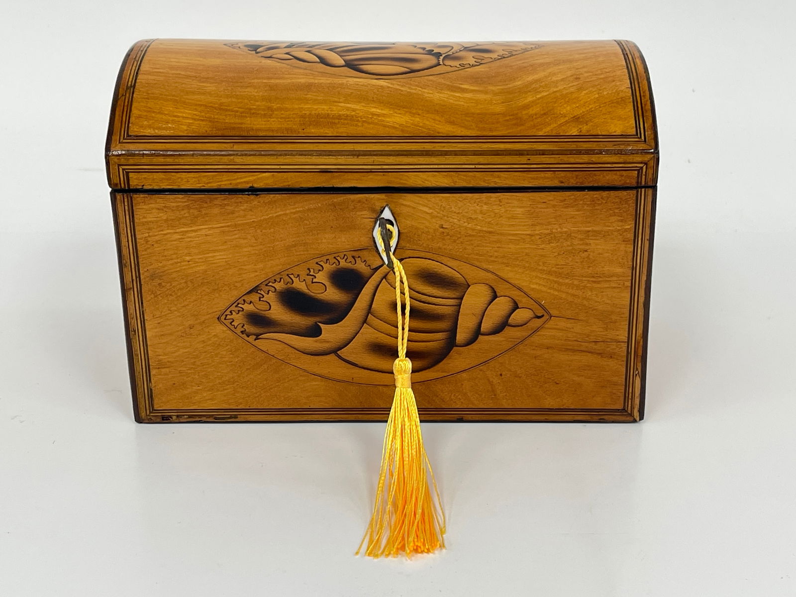 19TH C ENGLISH DOMED TOP TEA CADDY WITH DOUBLE CONCH SHELL INLAY (1 of 6)