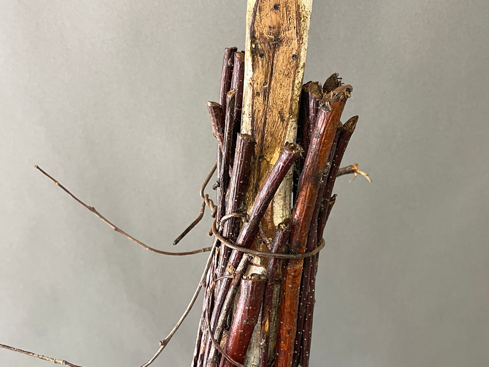 BIRCH TWIG BROOM - 3