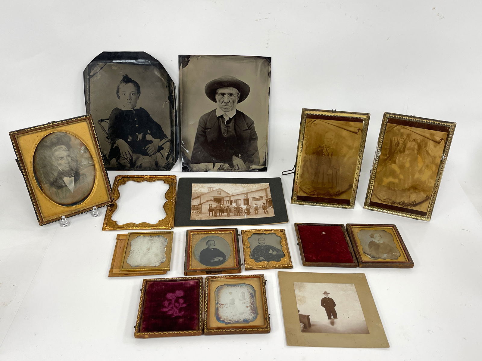 MISC PHOTOS , DOGS, ETC: MISC PHOTOS , DOGS, ETC