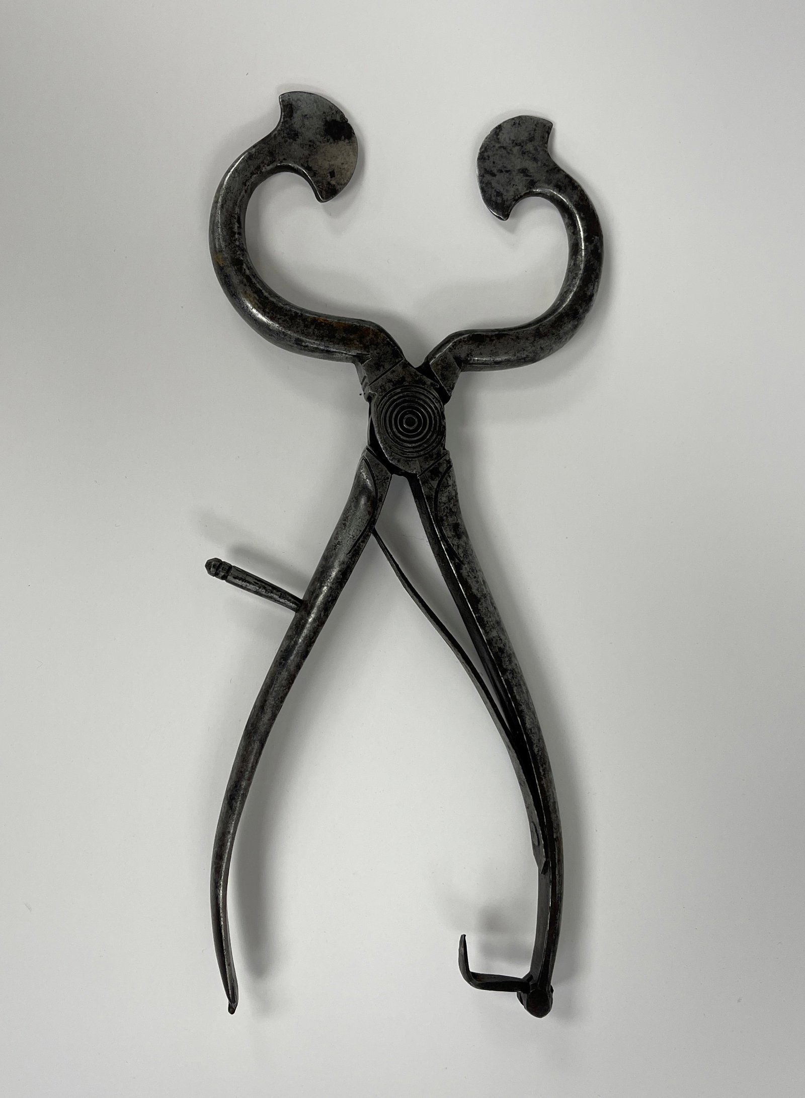 EARLY PAIR OF SUGAR NIPS OR SUGAR CUTTER (1 of 4)