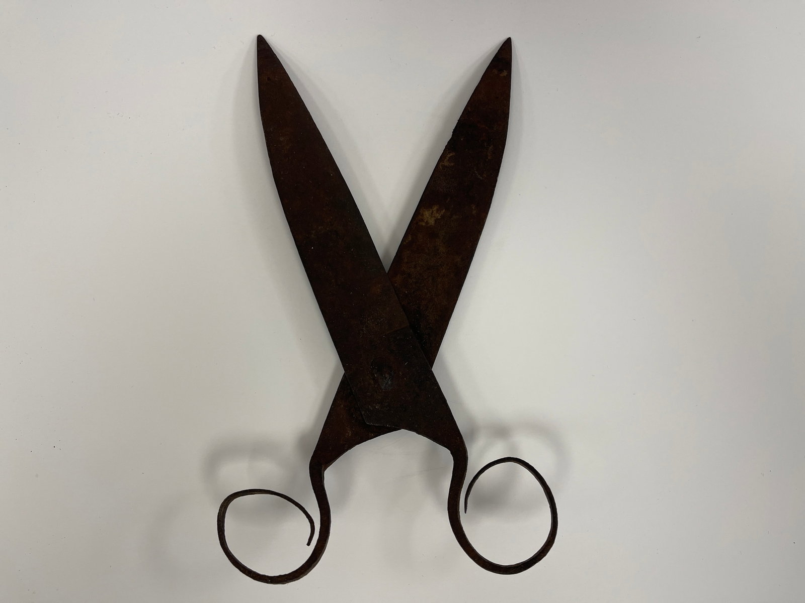 GREAT PAIR OF 1600-1650 C WHITESMITH MADE SCISSORS: GREAT PAIR OF 1600-1650 C WHITESMITH MADE SCISSORS