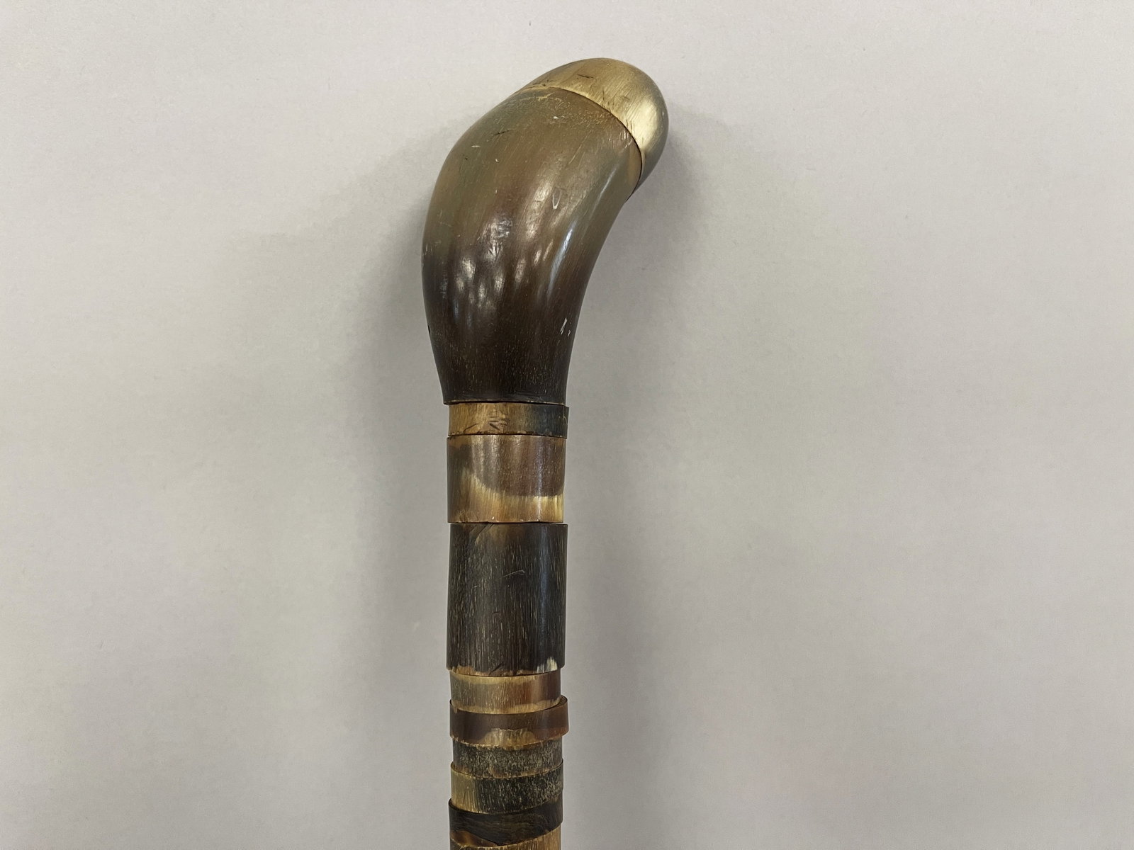 CANE WITH BONE (1 of 5)