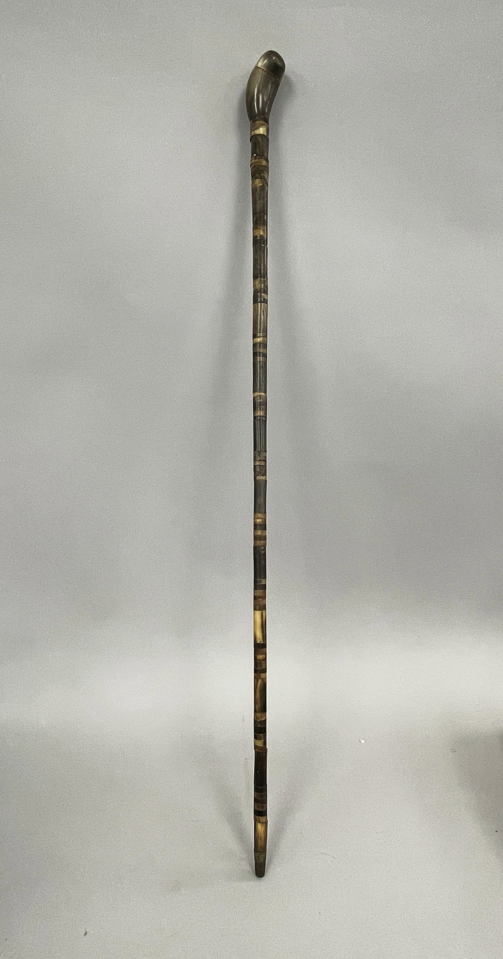 CANE WITH BONE - 2