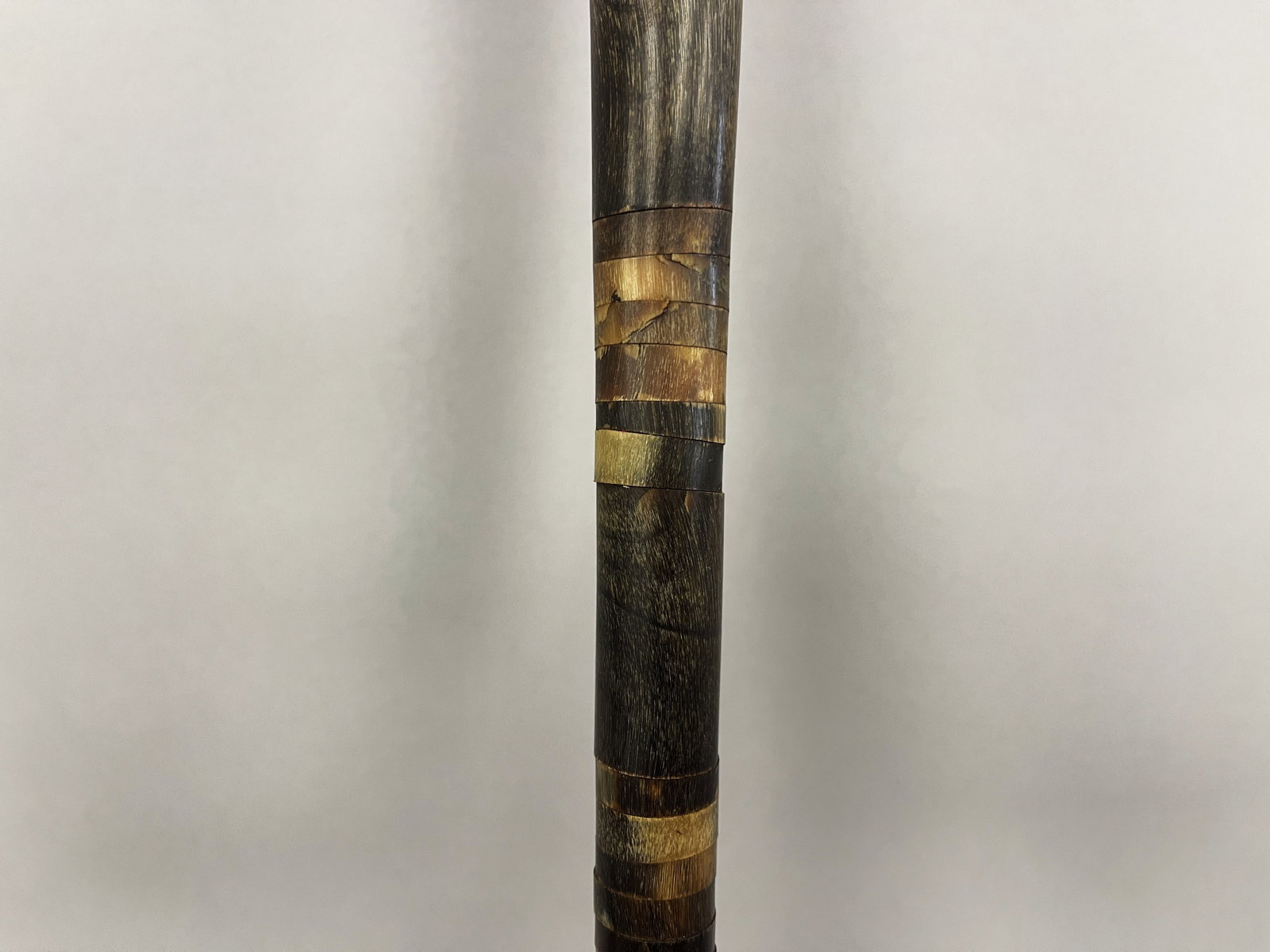 CANE WITH BONE - 3