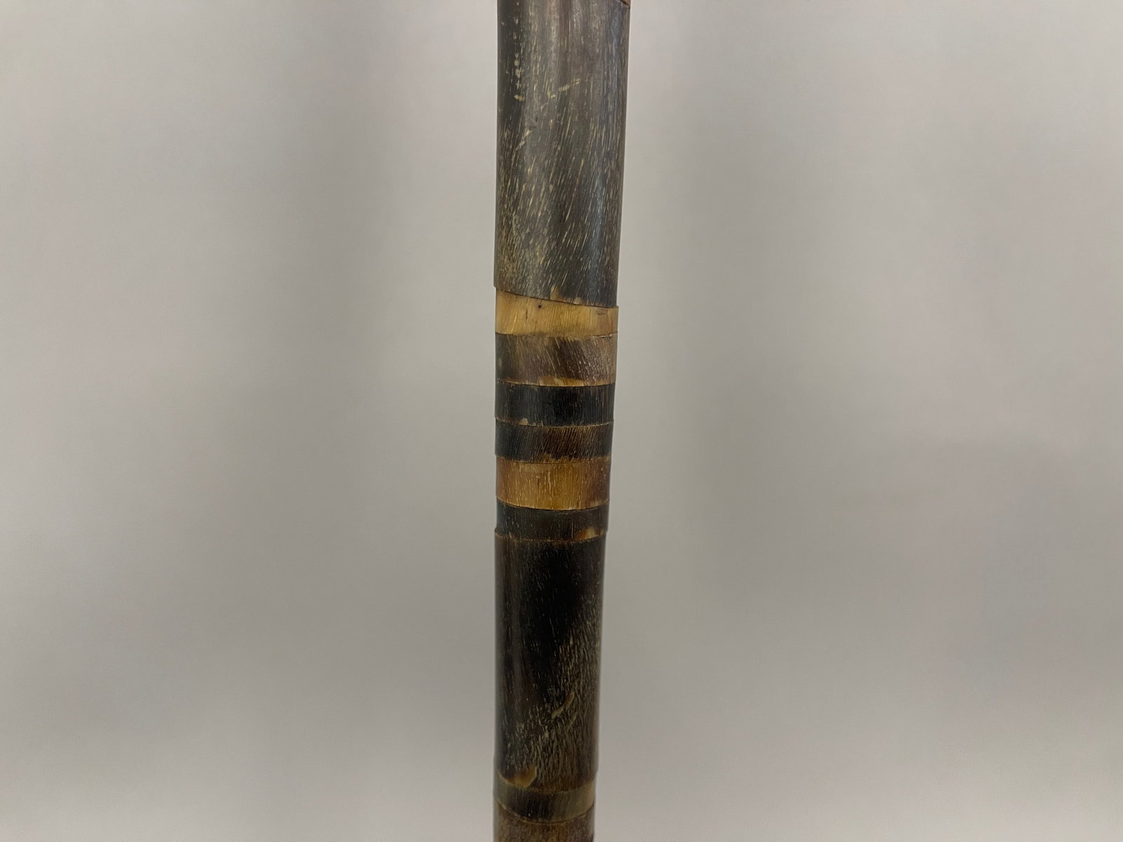 CANE WITH BONE - 4