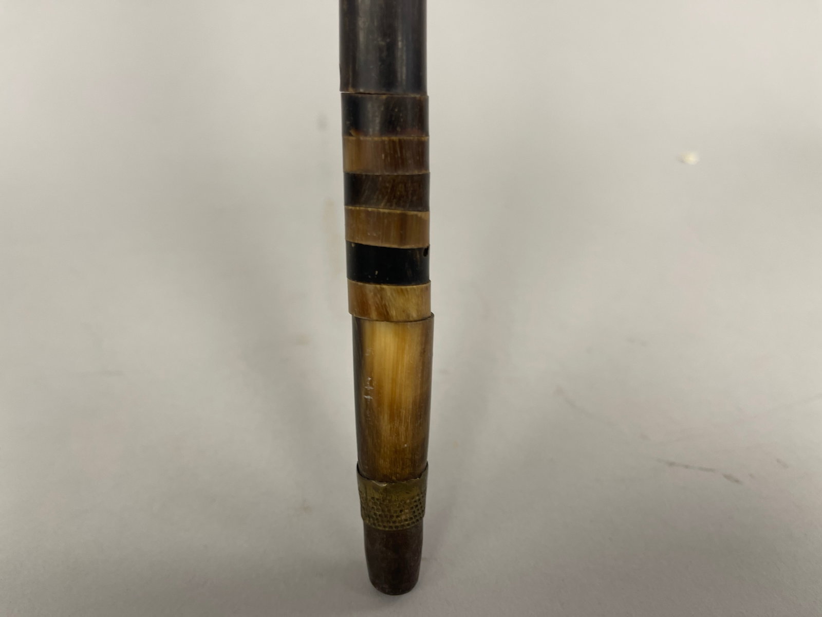 CANE WITH BONE - 5
