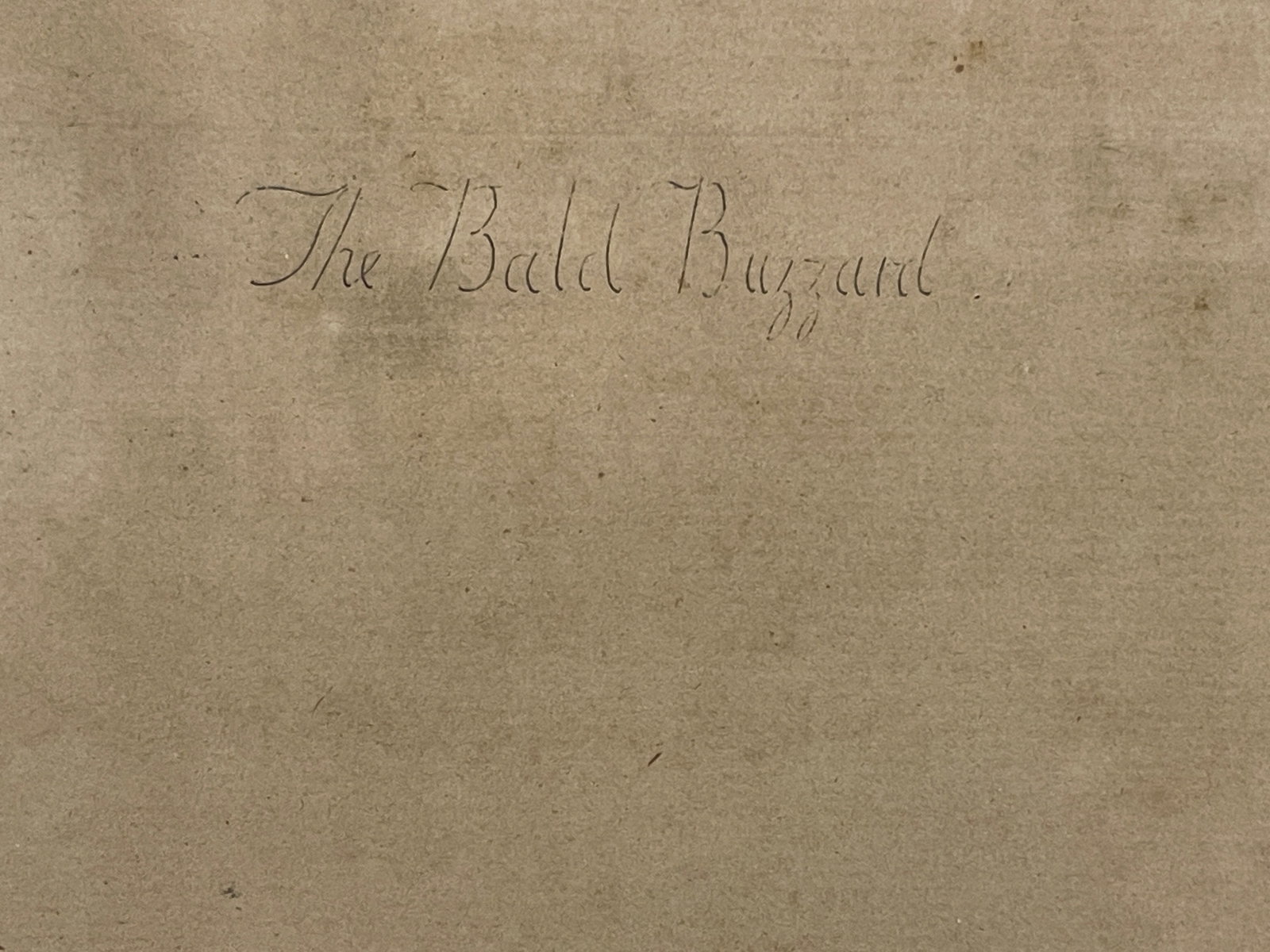 18TH C THE BALD BUZZARD PRINT PETE MAZZILL - 6