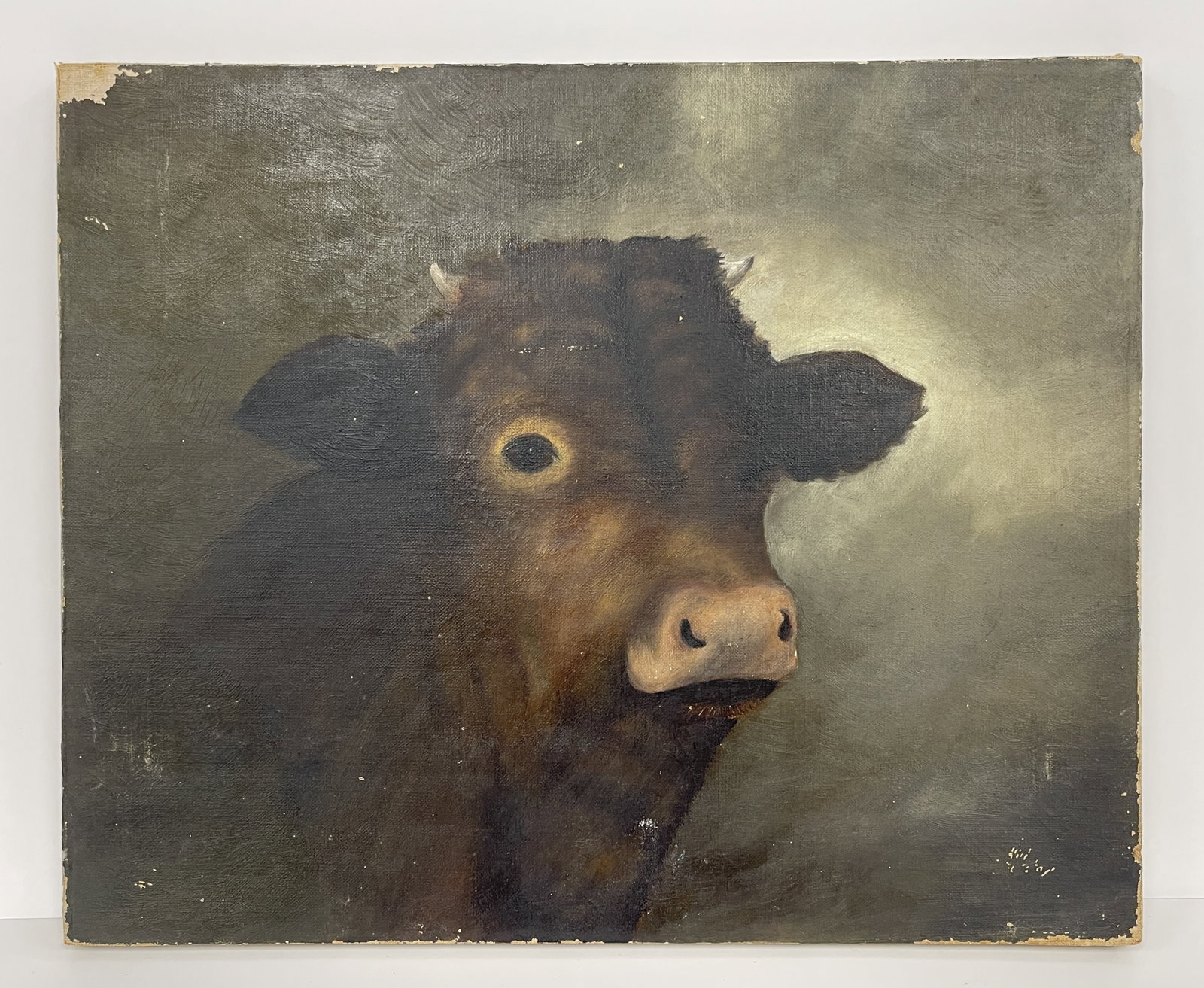 COW PAINTING - 5