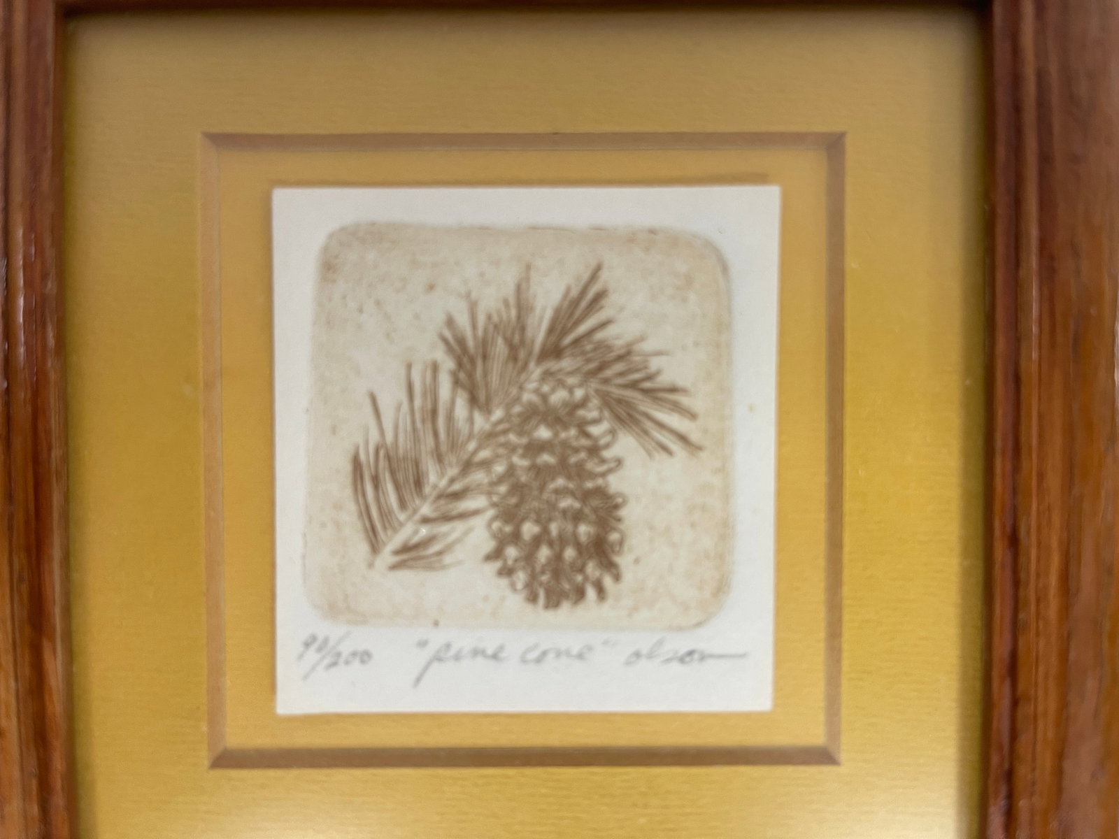 PINE CONE LITHOGRAPH: PINE CONE LITHOGRAPH MODERN, FRAMED, EXCELLENT CONDITION.