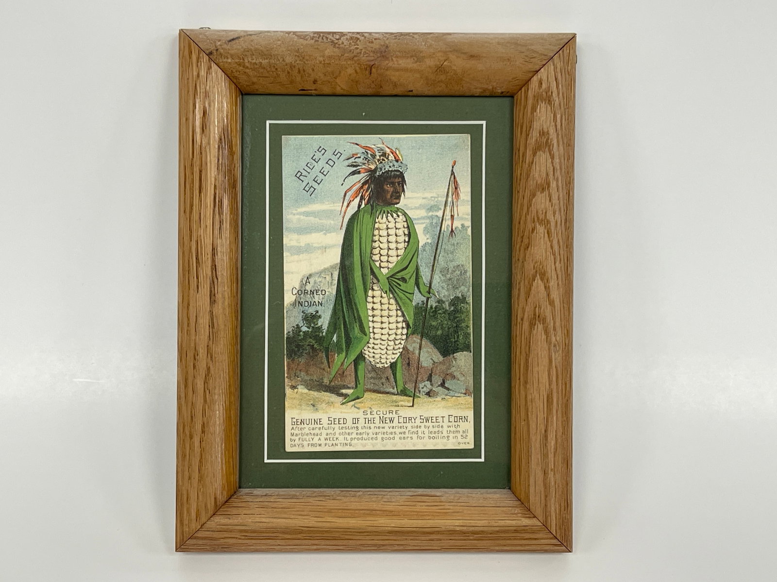 RICE’S SEEDS TRADE CARD: RICE’S SEEDS TRADE CARD 19TH C, FRAMED, EXCELLENT CONDITION.