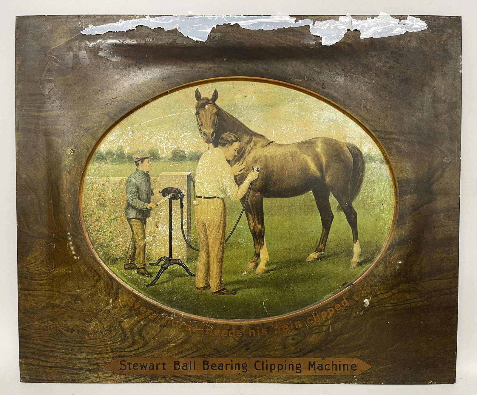 HORSE CLIPPER ADVERTISING CHROMO: HORSE CLIPPER ADVERTISING CHROMO C 1900, EMBOSSED TIN, PLASTIC BAG REMNANT SHOULD EASILY SOAK OFF, OVERALL EXCELLENT CONDITION.