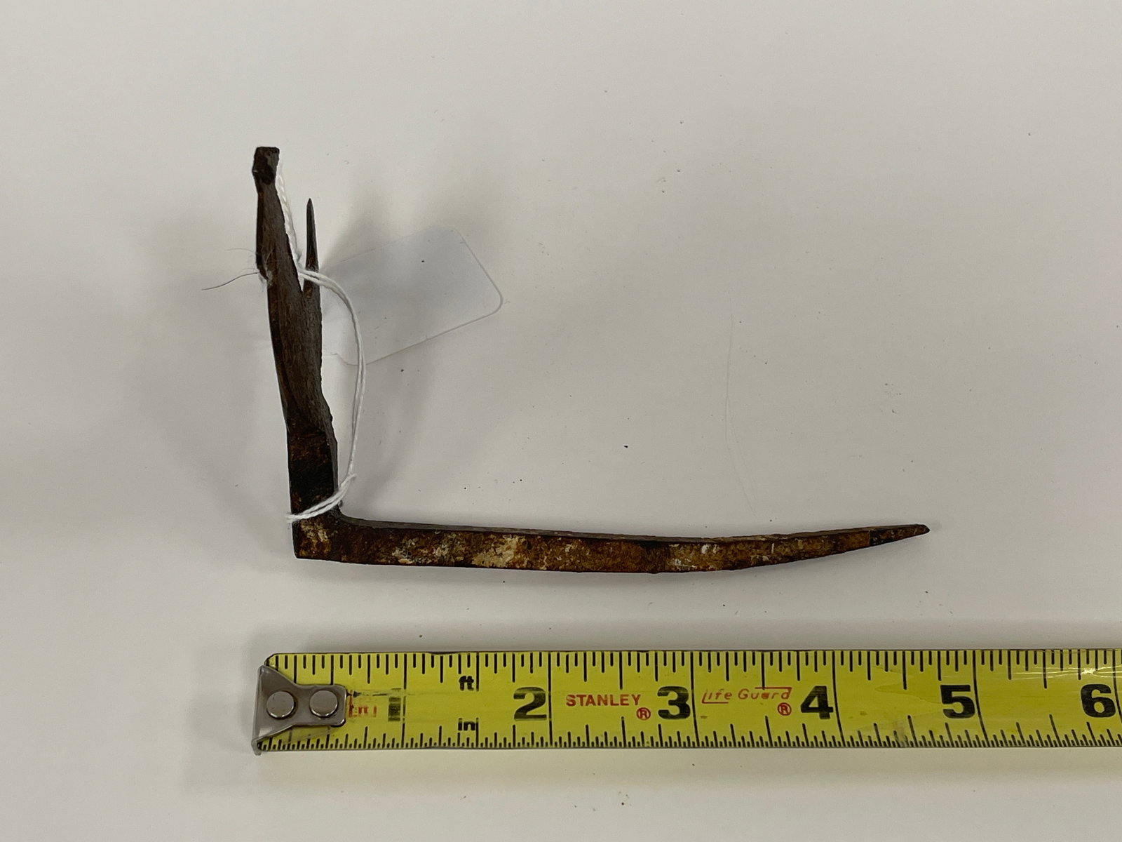 EARLY BIRD BEAN SPIKE - 4