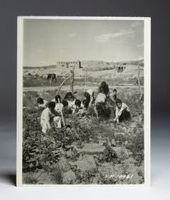 New Mexican WPA Photograph 1938 "Gathering Dye"