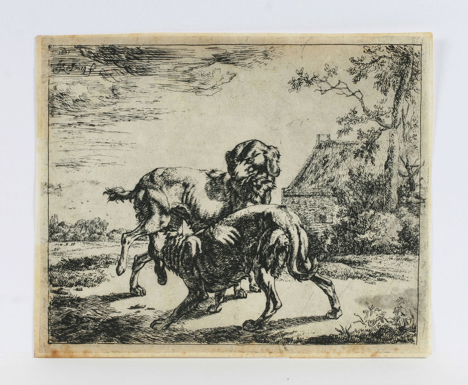 Johan le Ducq - Old Master Engraving of Dogs 1661 (1 of 8)