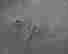 item-49382782=5