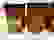 item-54175796=2