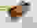 item-54175798=5