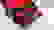 item-54175804=7