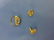 Black hills gold jewelry-pin12k ring 10k bracelet and - 3