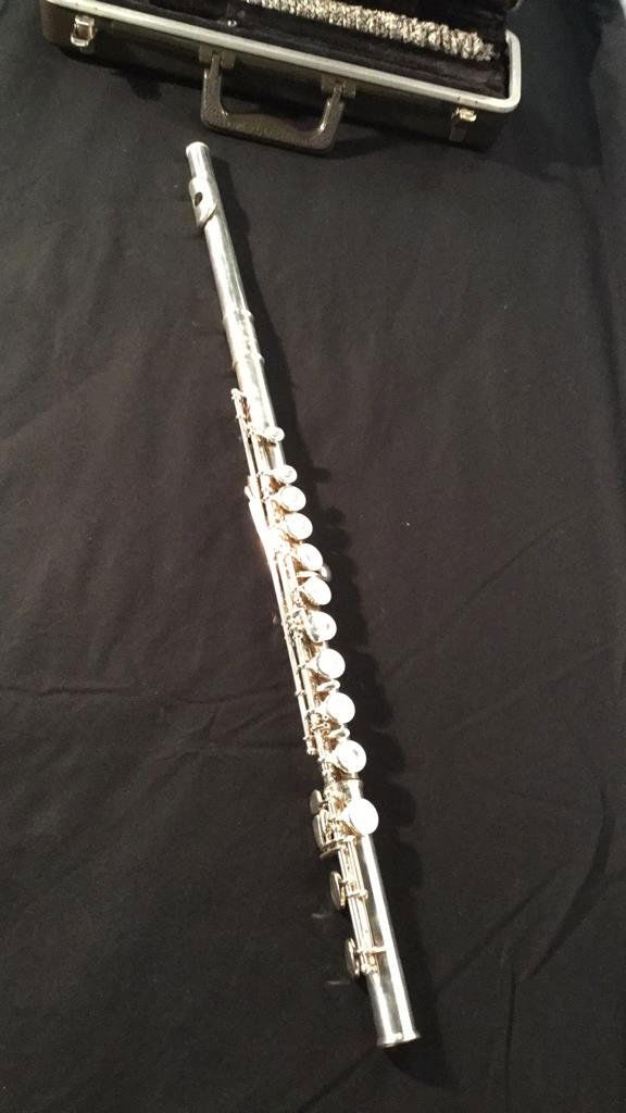 Flute in case (1 of 4)