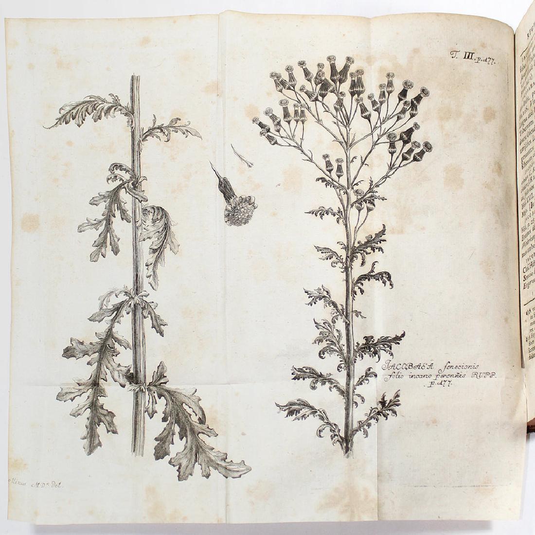 [Botany]HALLER/RUPP-FLORA IENENSIS 1745 (1 of 9)