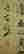 item-81576146=4