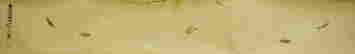 item-83538194=5