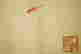 item-83538194=6