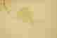 item-83538194=8