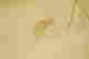item-83538194=9