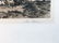 PETER MORAN signed in pencil, lower right - 2