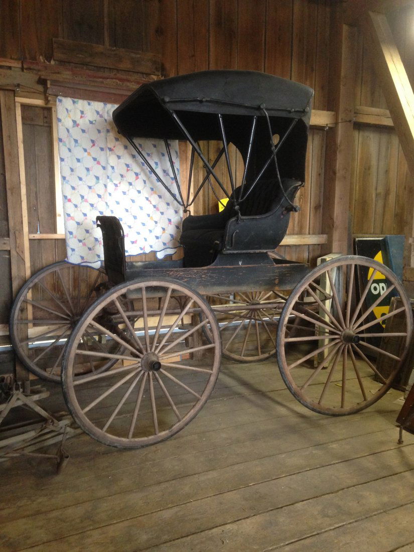 1800\'s Dr. Buggy