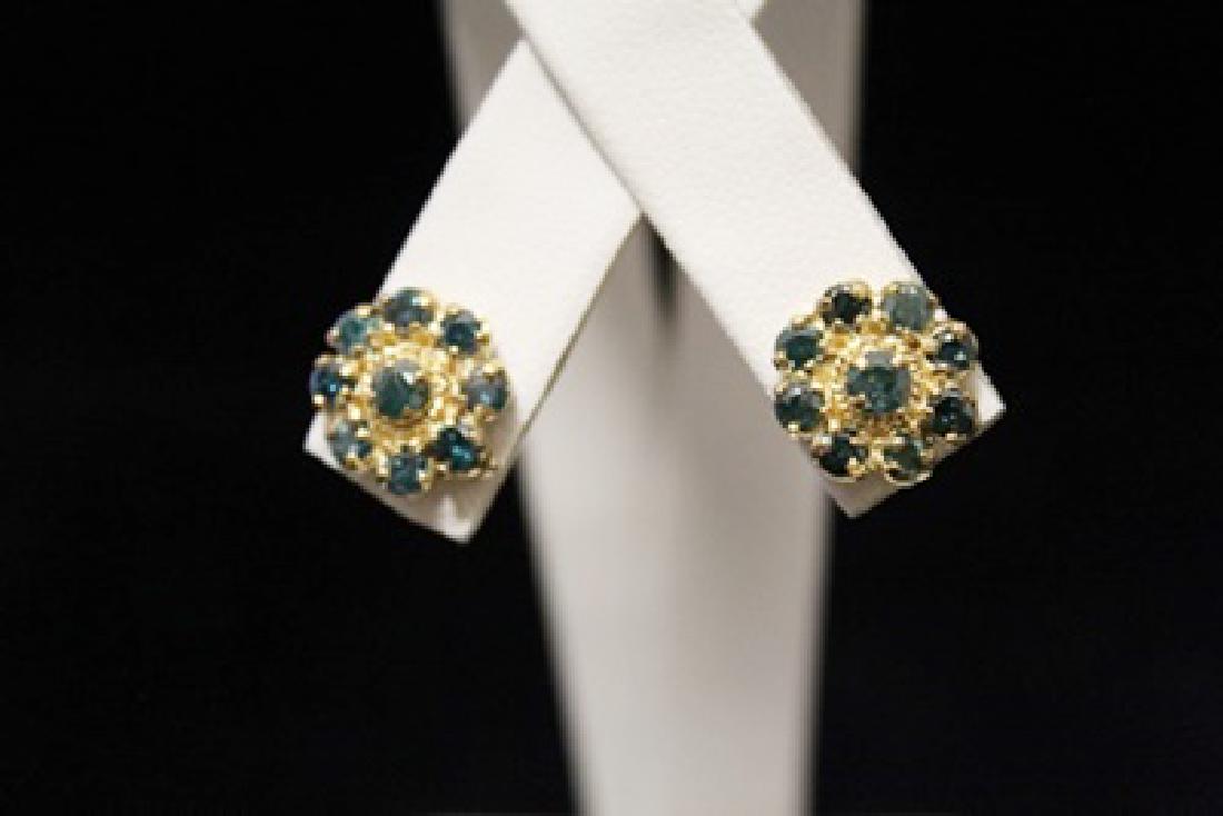 Lavish 14kt Gold Blue Diamond Earrings (24M) (1 of 3)