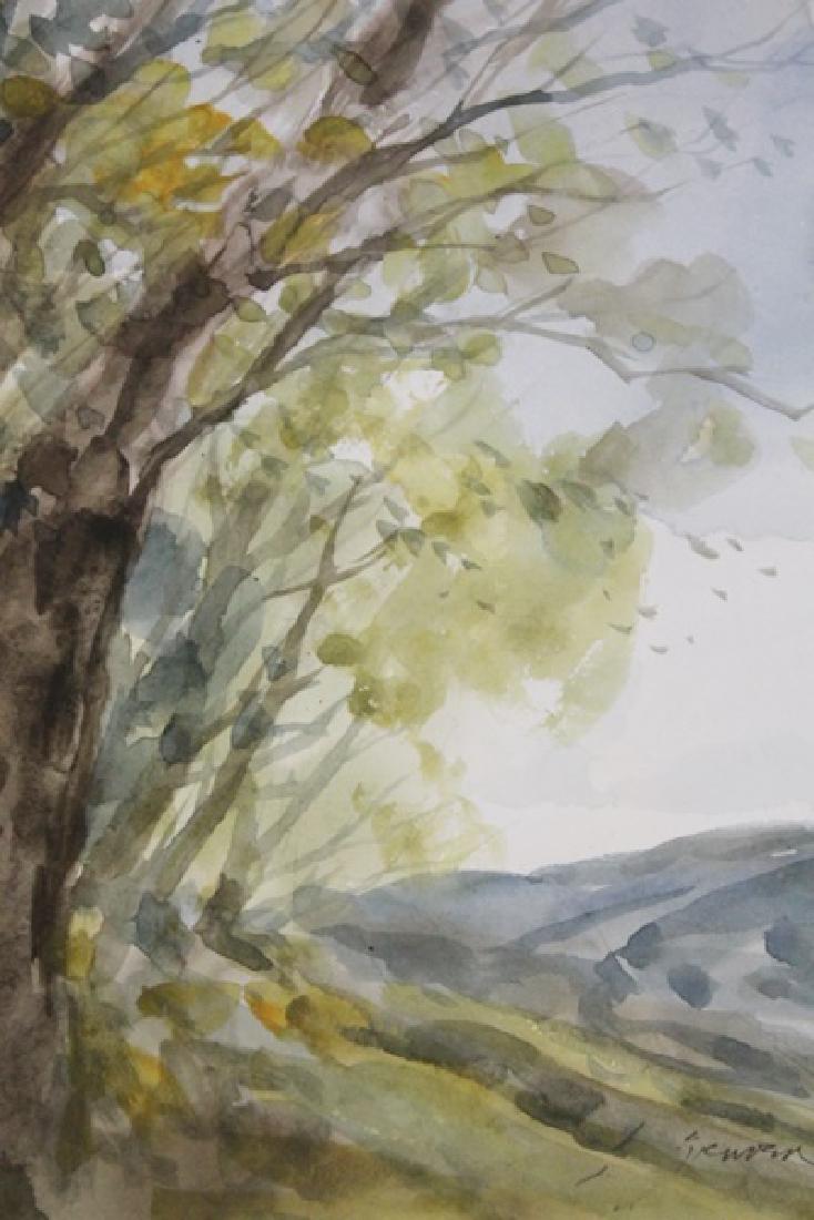 "WOODS IN SPRING" BY MICHAEL SCHOFIELD (1 of 1)