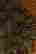 item-62782333=3