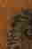 item-62782333=4