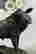 item-129122699=2