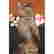 item-131200681=5