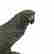 item-131200950=2