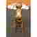 item-132877554=6
