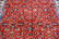 Traditional Design Persian Tabriz 9.6x6.9 - 2