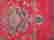 item-108204533=4
