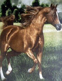 Fine 70 Raj Tabriz Tableau Rug 2.6x3.6