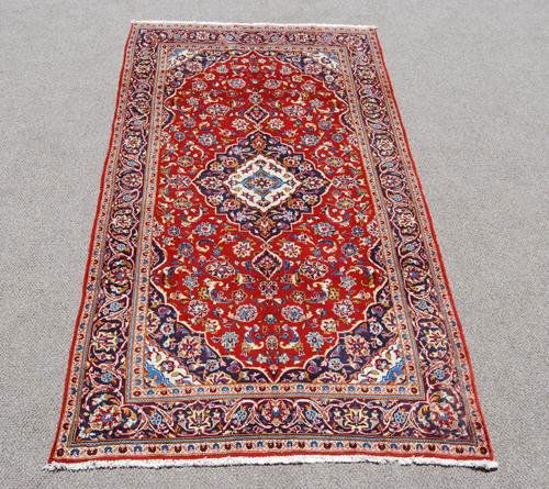 Absolutely Gorgeous And Spectacular Large Persian (1 of 4)