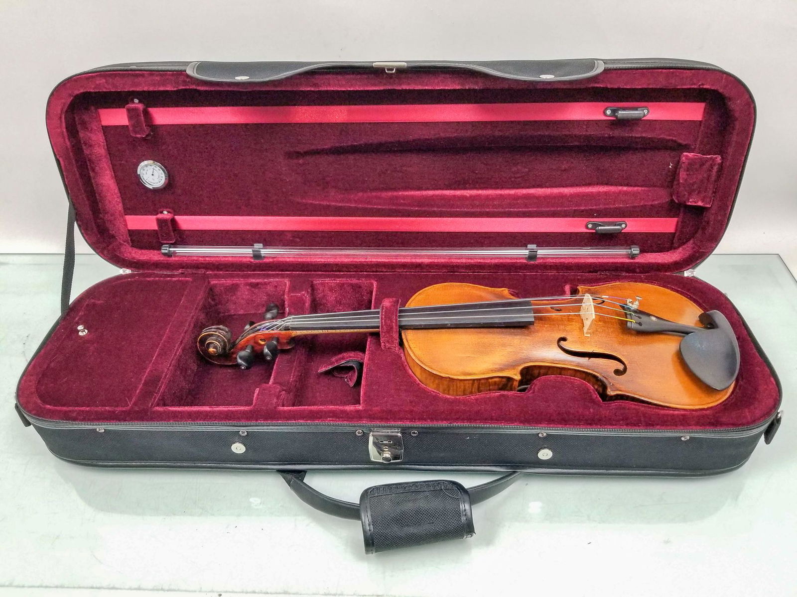 Violin in Zippered Case (1 of 6)