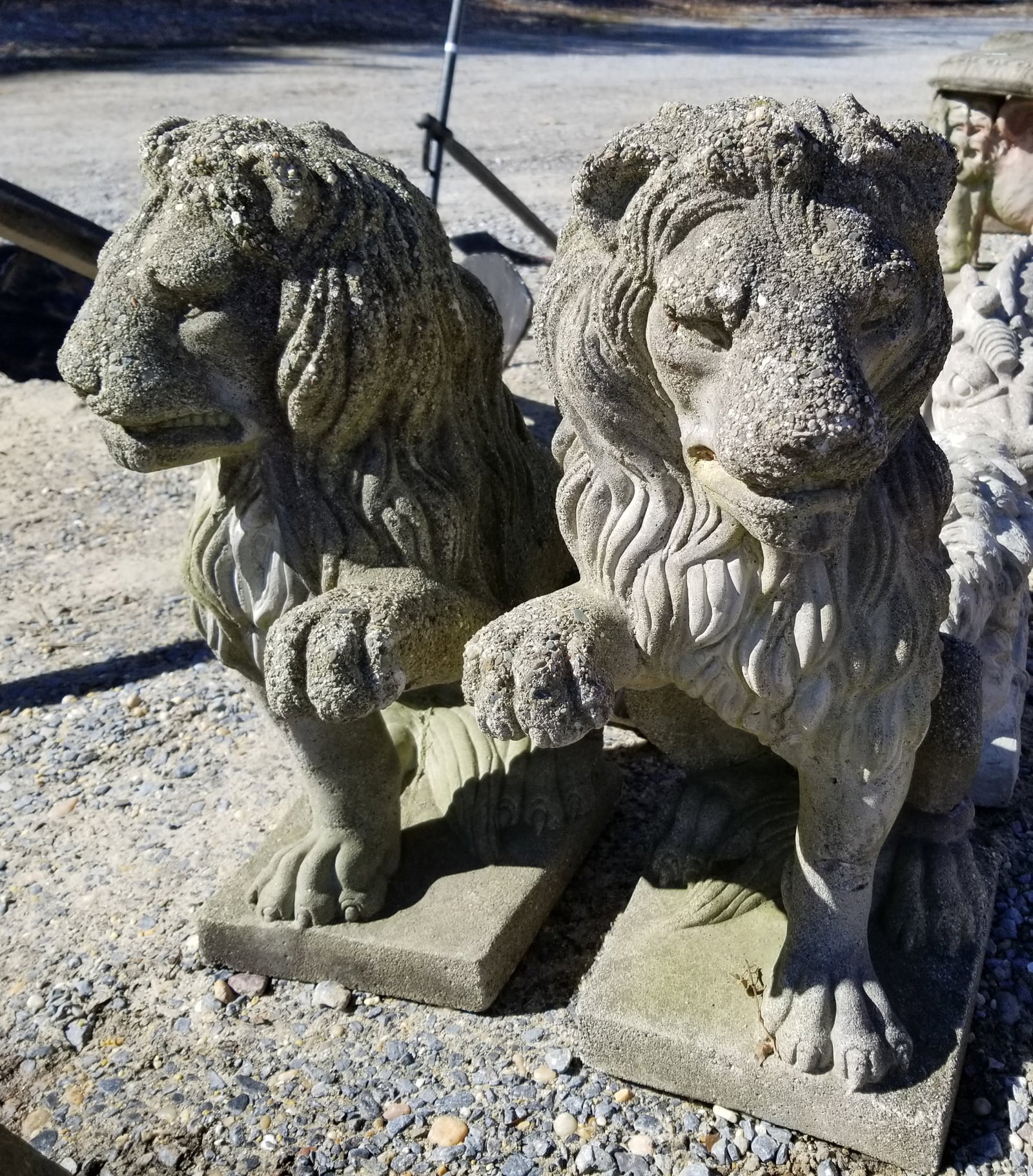 Pair of Concrete Lion Garden Statues (1 of 4)