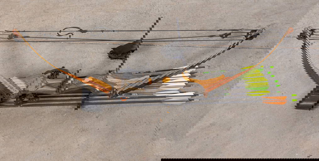 Warthog Magnum Compound Bow